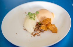 zaterdag-31